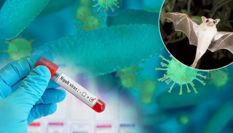 Nipah Virus