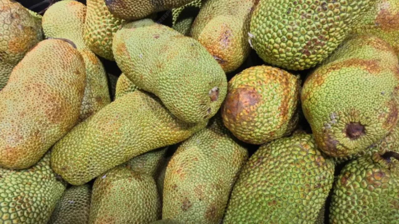 Jackfruit Benefits